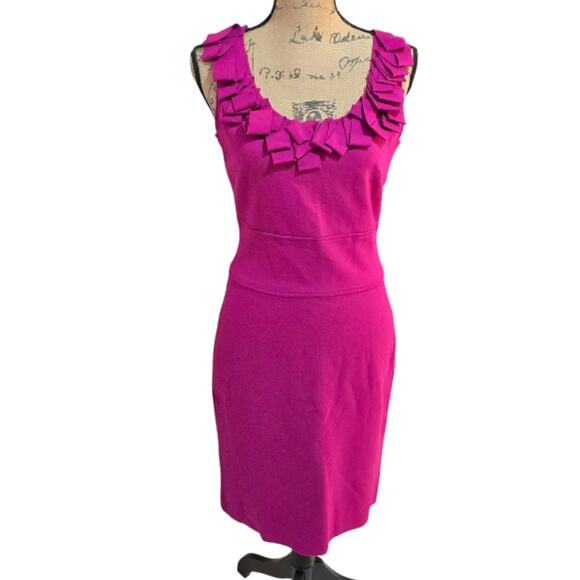 Taylor Barbircore‎ Fringe Stretch Magenta Hot Pink Stretch Sheath Dress Size 4 S - Picture 1 of 7